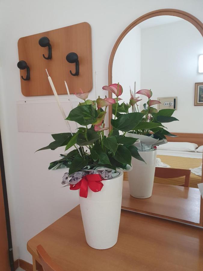 Hotel Venezia San Mauro Mare 3* San Mauro Mare